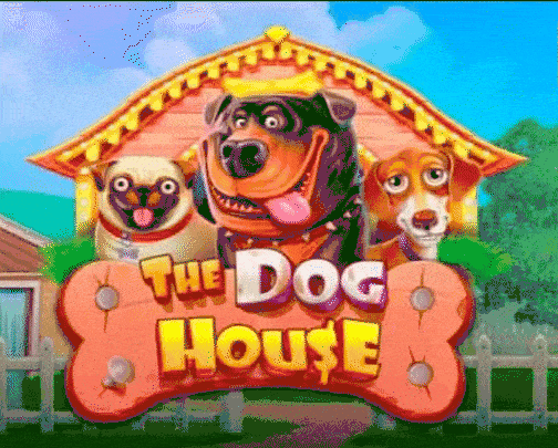 play the dog house in thor fortune casino
